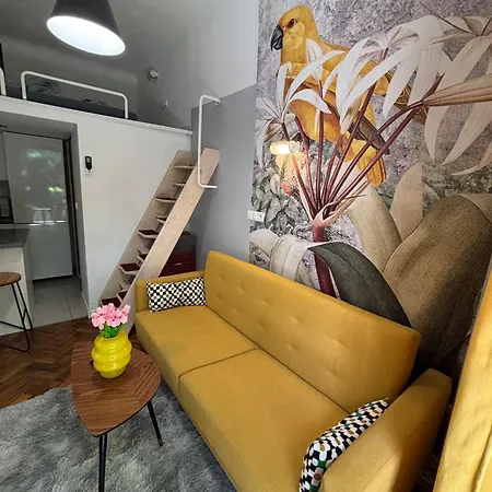 Parrot Main Station Cracow * Cracóvia