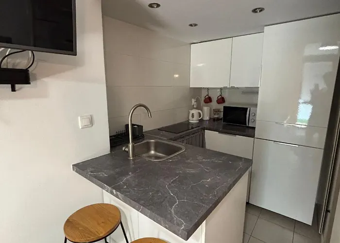 Parrot Main Station Cracow Cracóvia