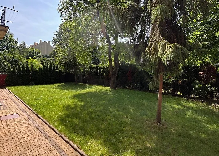 Parrot Main Station Cracow Cracóvia